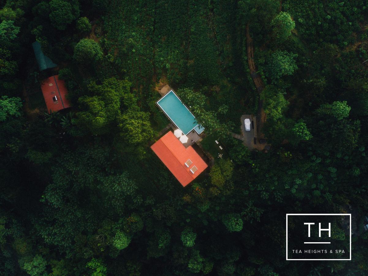 Hotel Tea Heights Kandy Exterior foto