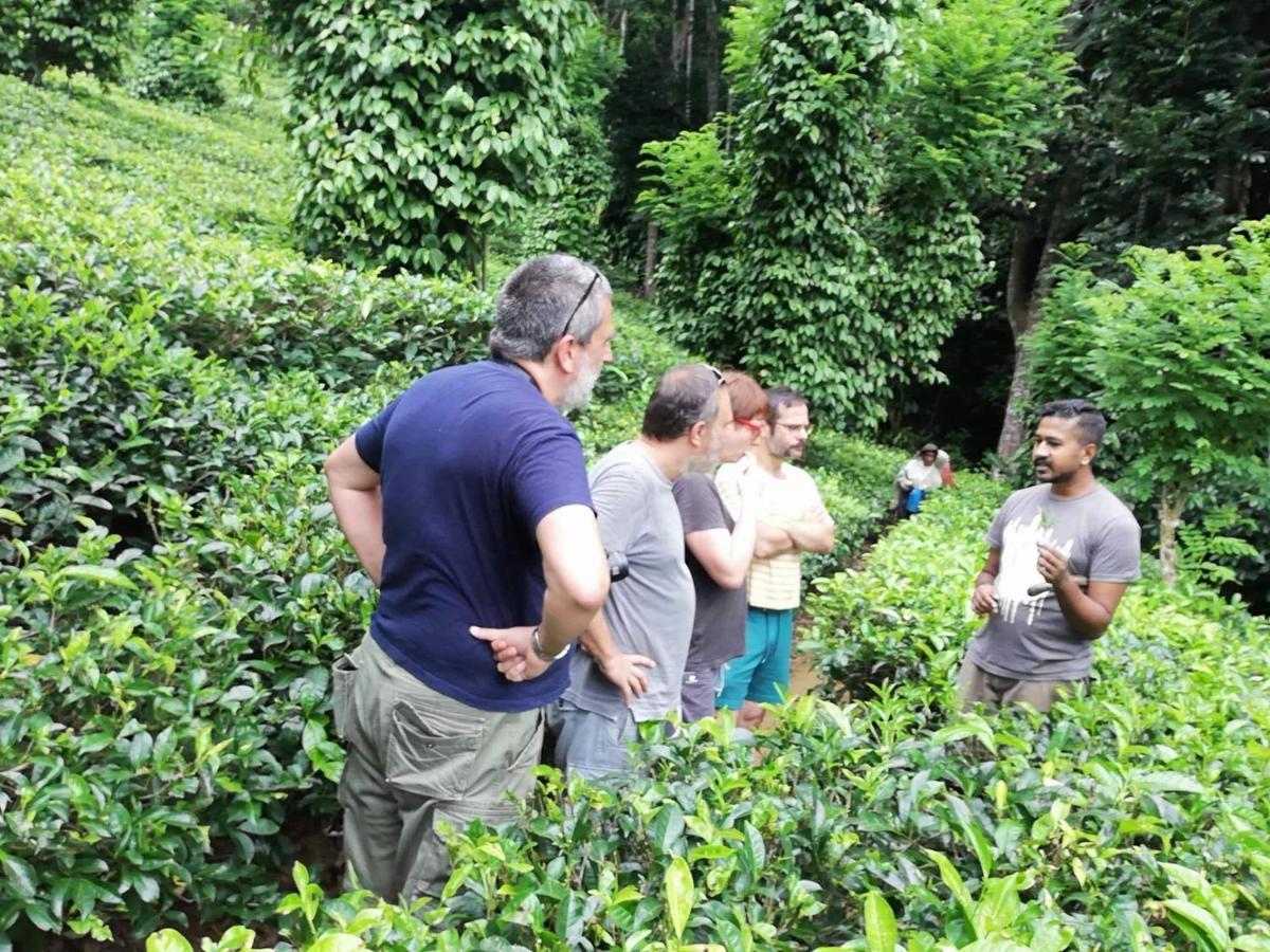 Hotel Tea Heights Kandy Exterior foto